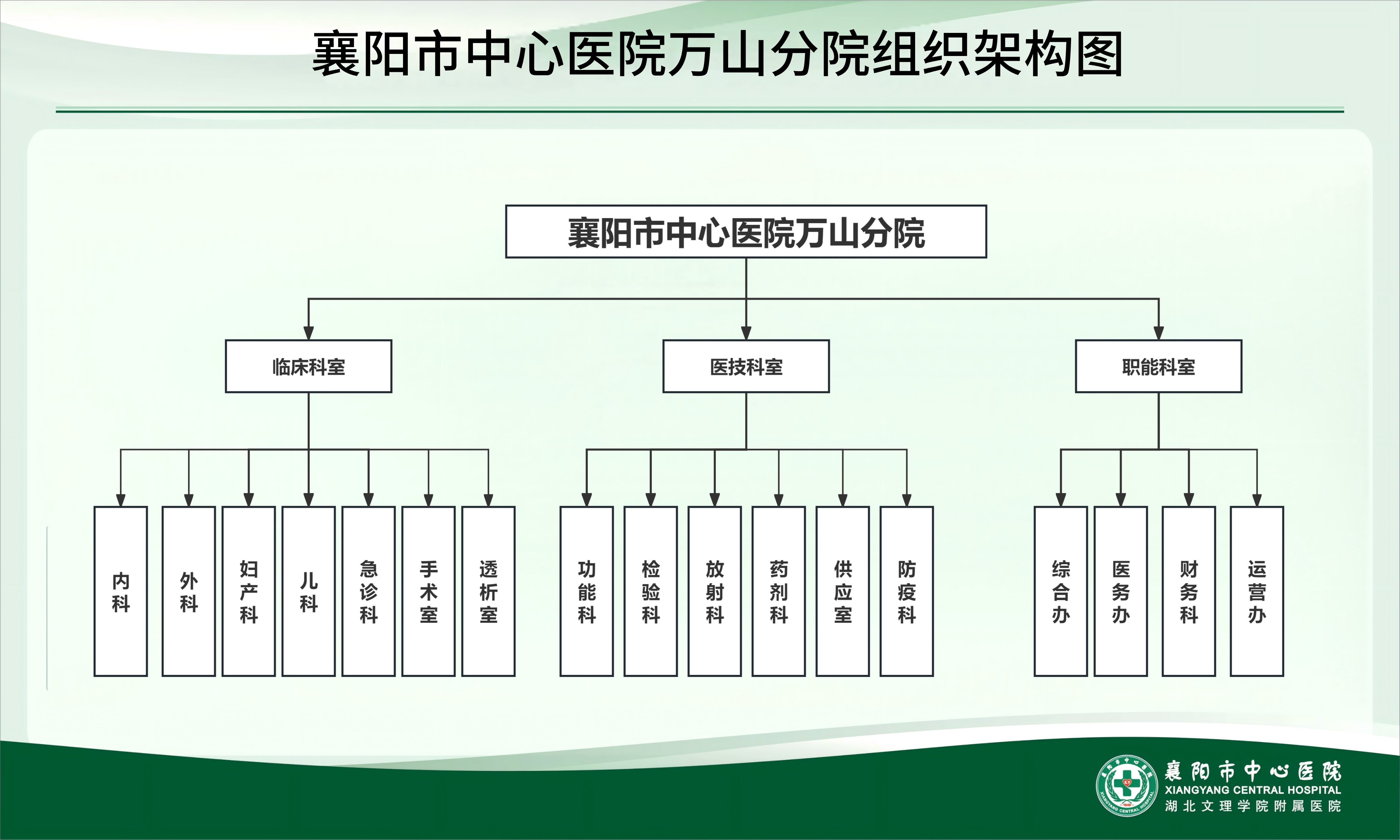万山分院组织架构图.png